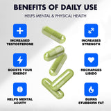 21 AGAIN REWIND T-BOOSTER